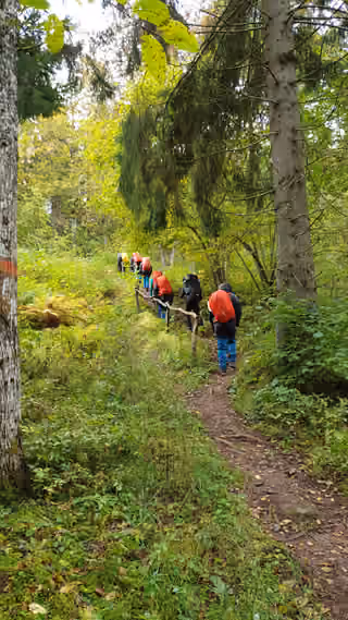 The Distancify team hiking together along a forest trail with backpacks.